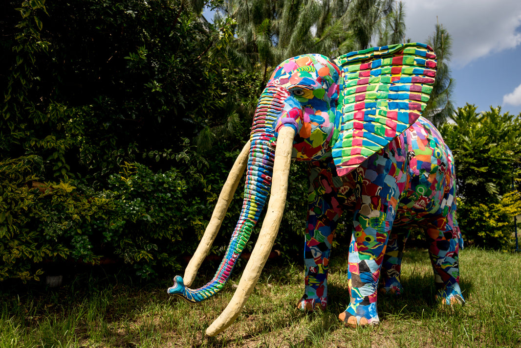 Kenya’s Iconic Tusker Elephants: From Wild Wonders to Flip-Flop Art