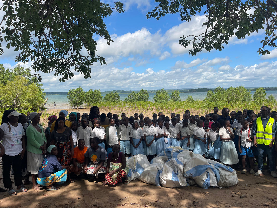 🐢 Sea Turtle Week with Soul: Conservation, Creativity &amp; Eco Art from Kenya