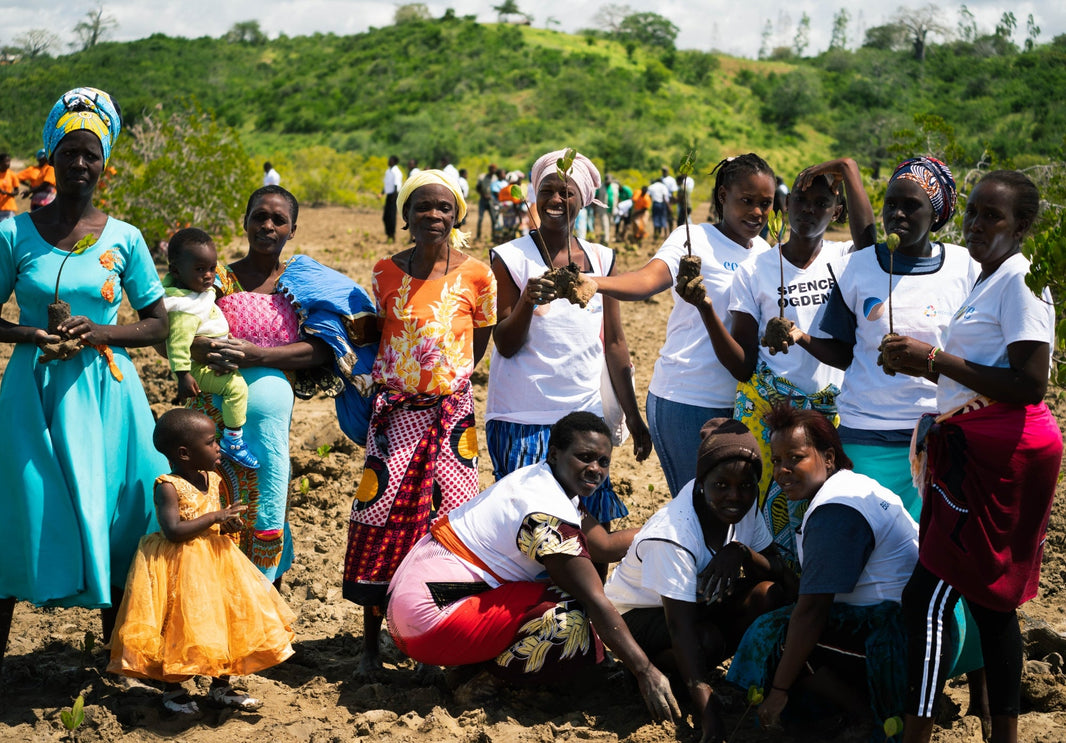 Restoring Kenya’s Coastline: Ocean Sole’s Mangrove Planting Project