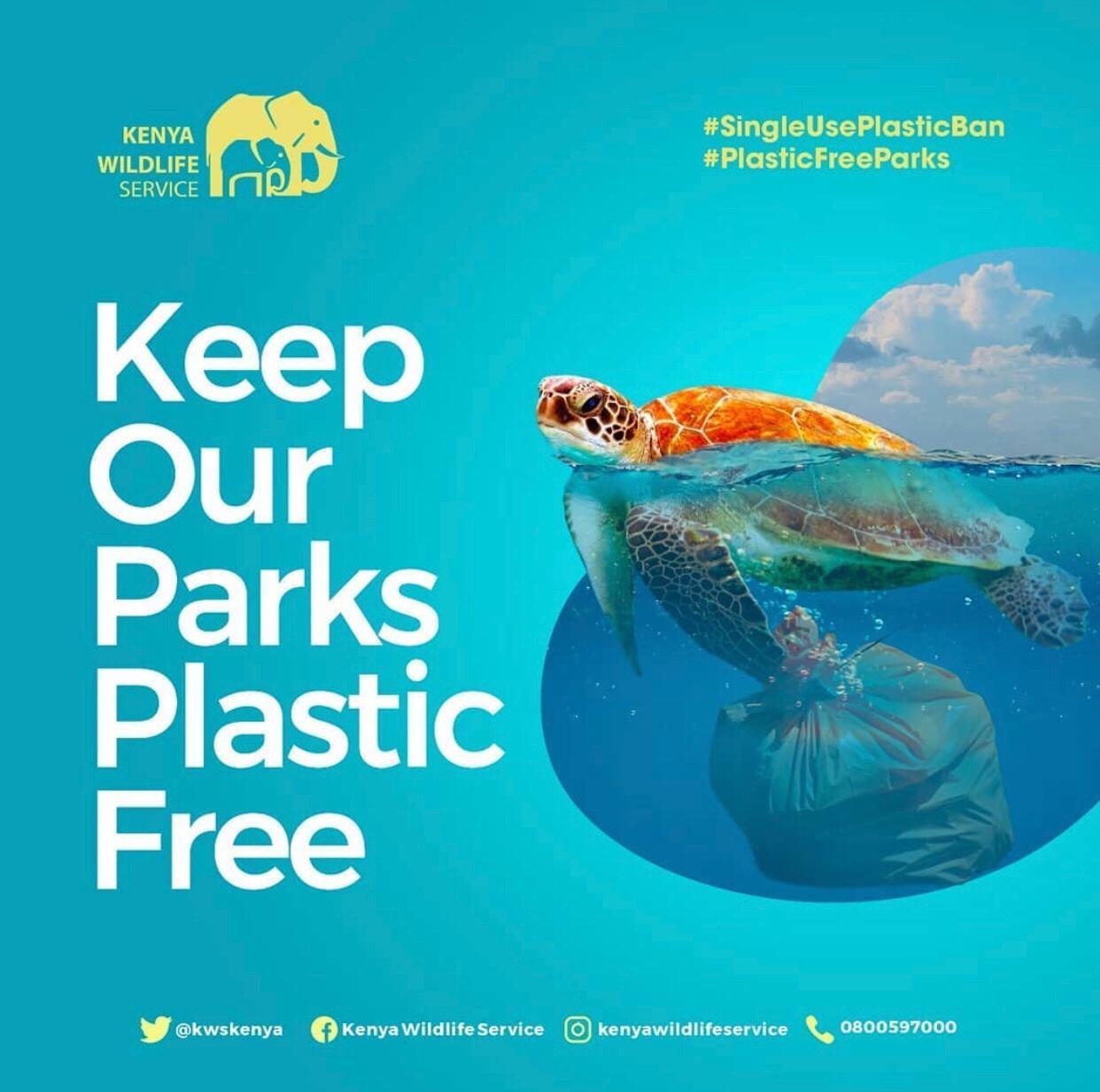 World Environment Day - Time for Nature and Supporting Recycled Art