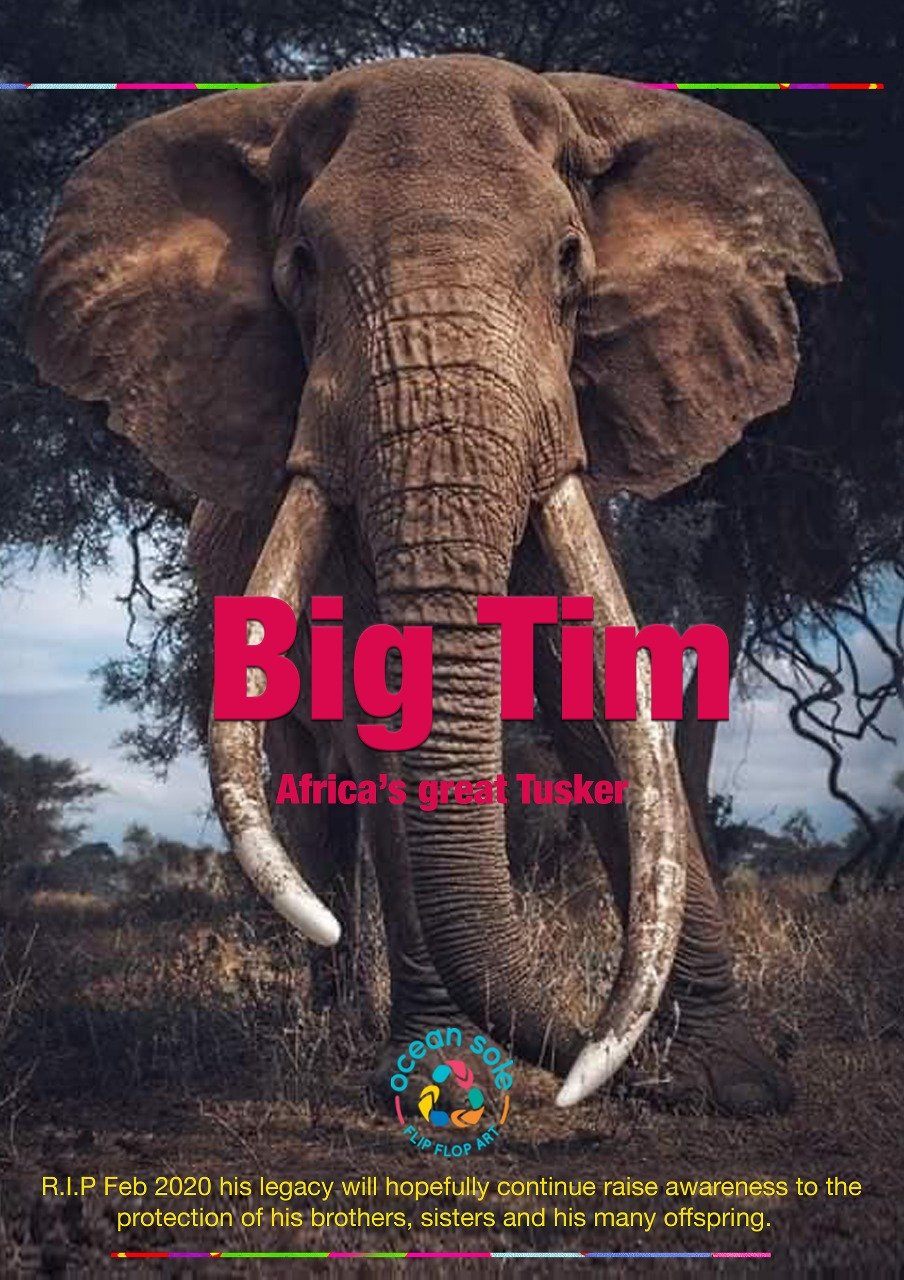 World Elephant Day!