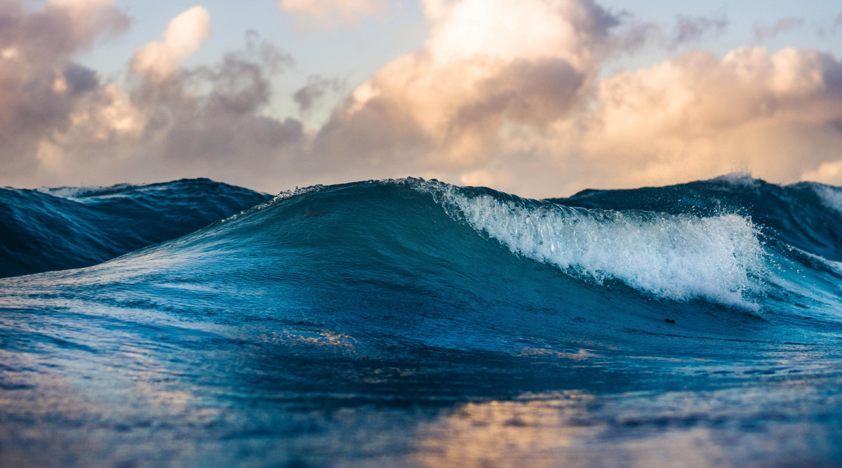 8th June, World Oceans Day - Ocean Sole