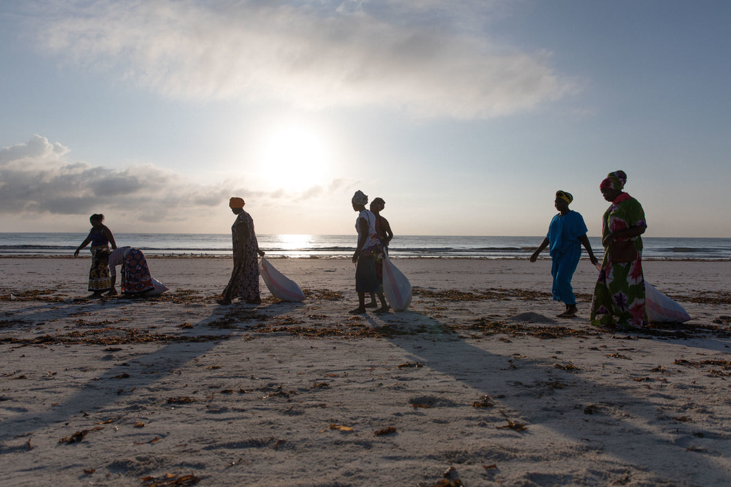 World Oceans Day 2023