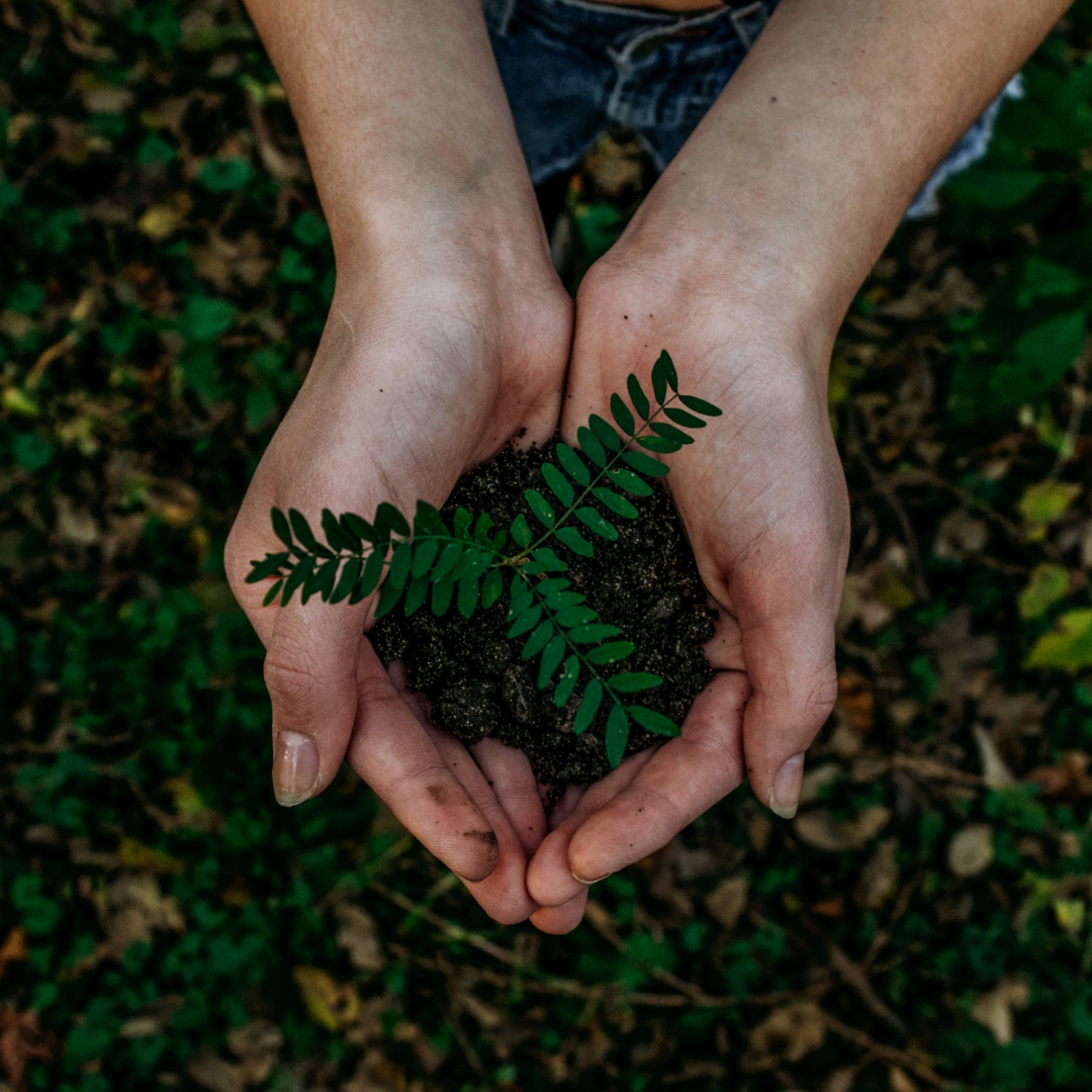 National Green Week