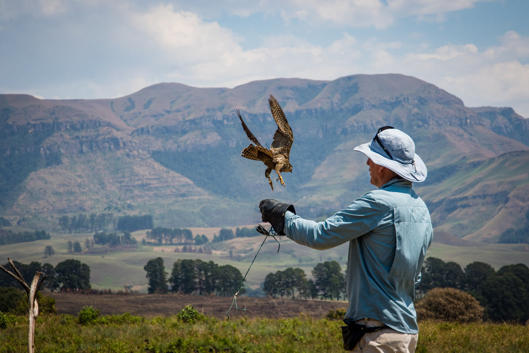 How Does Climate Change Impact Wildlife Conservation?