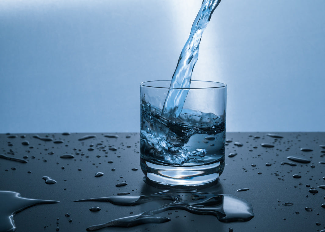World Water Week: Planting The Seeds of Change