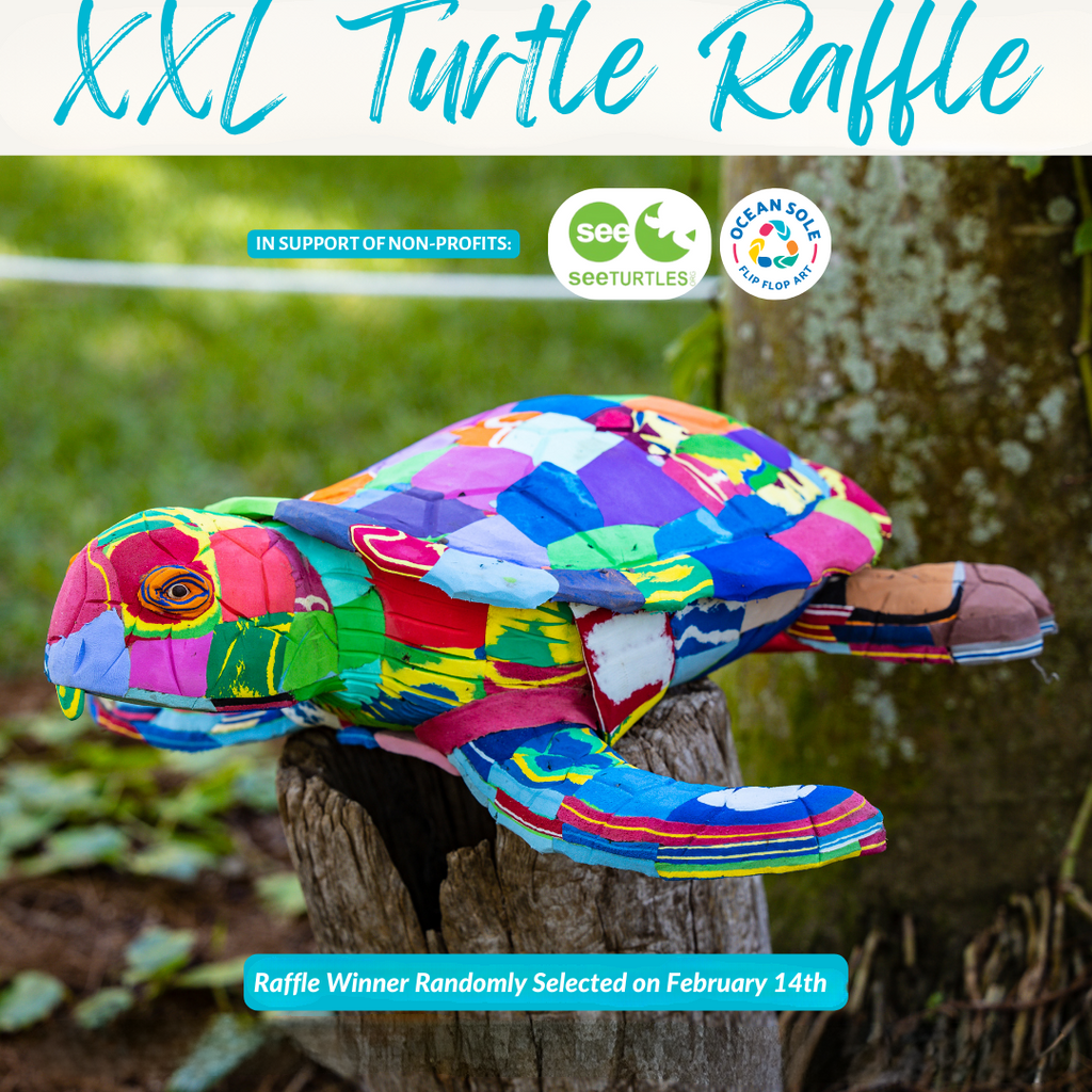 XXL TURTLE RAFFLE!