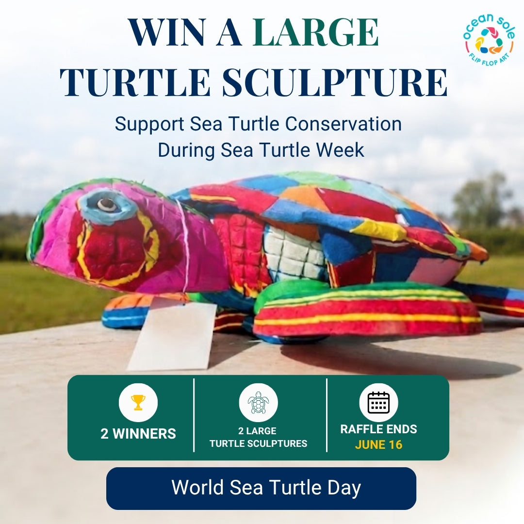 Win a Large Turtle Sculpture – Raffle Entry – Ocean Sole