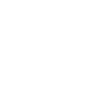 Ocean Sole
